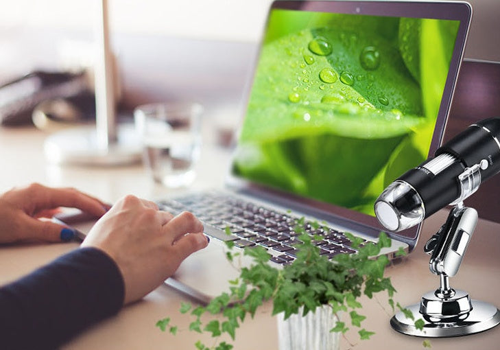 '- Without bracket 1600X