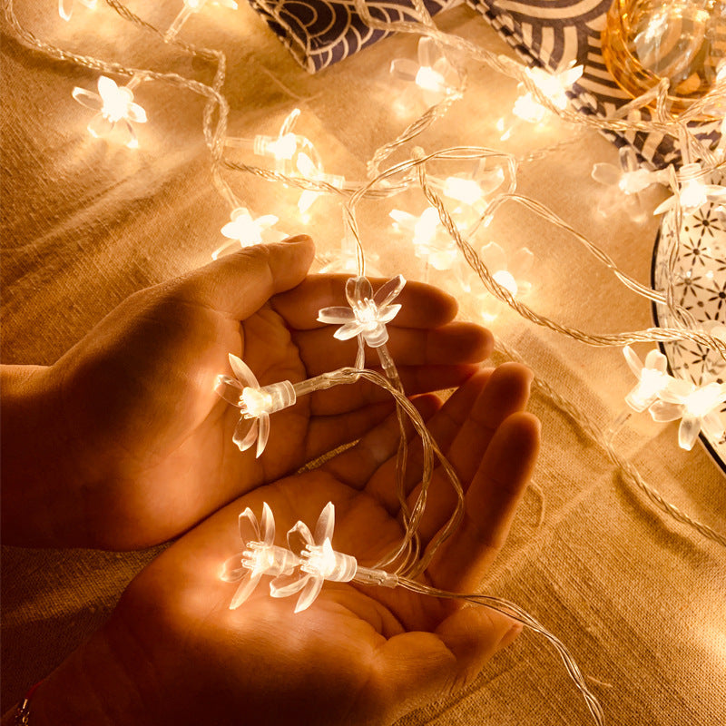 Sakura Small Colored Lights Flashing Light String Light | Proyect369