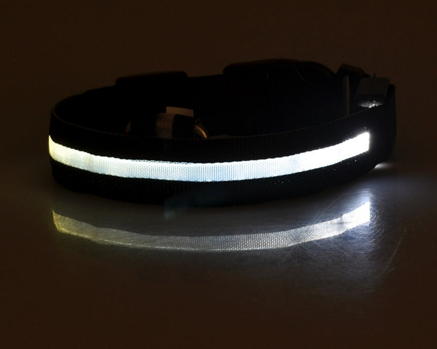 Collar luminoso de nailon con LED para perros, con luces intermitentes de seguridad nocturna | Proyect369