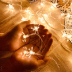 Sakura Small Colored Lights Flashing Light String Light | Proyect369