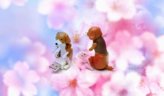 Usb dancing dog - Random