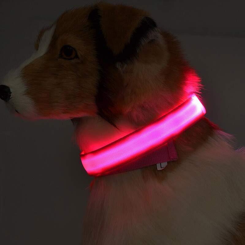 Collar luminoso de nailon con LED para perros, con luces intermitentes de seguridad nocturna | Proyect369