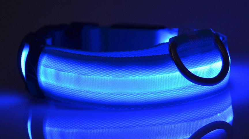 Collar luminoso de nailon con LED para perros, con luces intermitentes de seguridad nocturna | Proyect369
